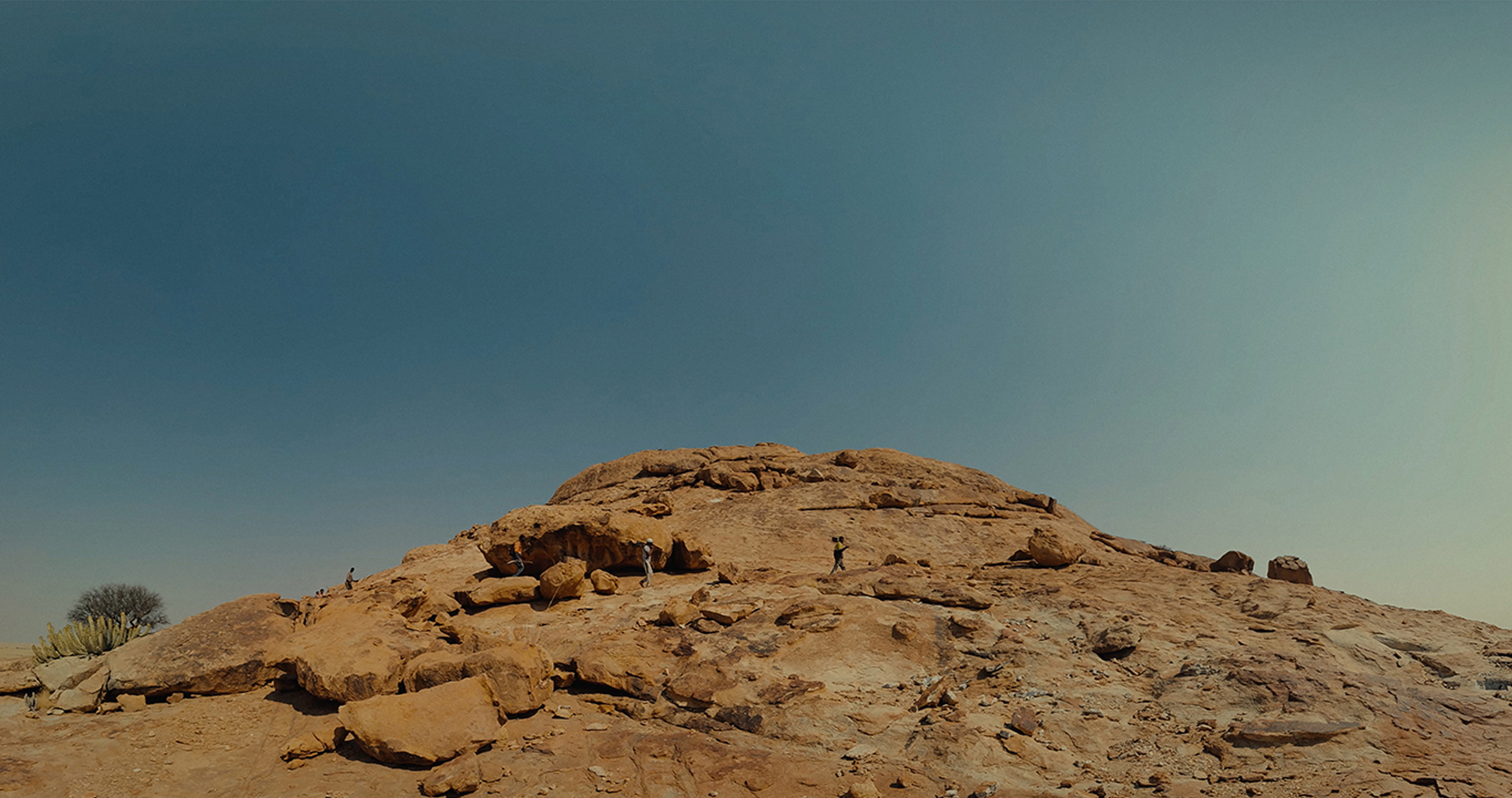 The Soil of the Namib: VR - Still
